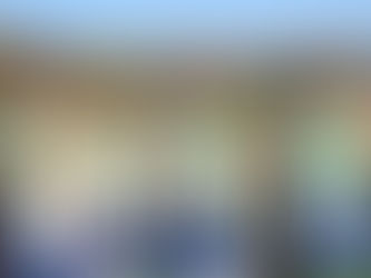 Peoria Notre Dame cross country