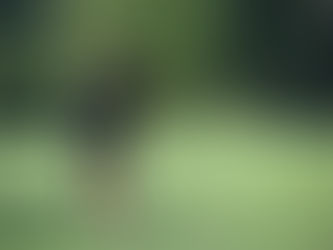 The Roundup, August 20, 2024: Golf heats up at Raider-Redbird Classic, Pekin girls extend win streak