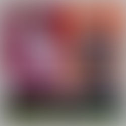 CSM Athletes of the Week