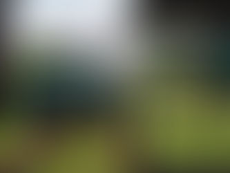 2024 Football Preview: Strong summer results have Richwoods roused for 2024 season