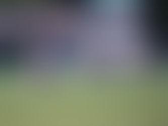 The Roundup, Oct. 3 2024: Hudson reaches memorable soccer milestone, Twin Cities shine on volleyball court