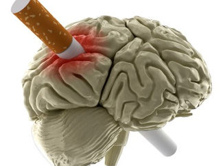 INAO alerta sobre os males do cigarro para o cérebro