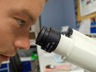 Cientistas descobrem novo tipo de demência confundida com Alzheimer