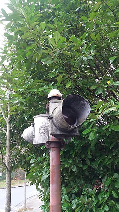 20201221_120525.jpg