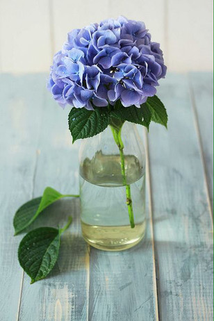 Ingredients For Your Bridal Bouquet