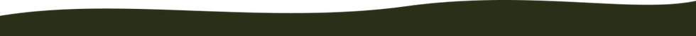 Vector (14).png