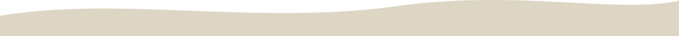 Vector (17).png