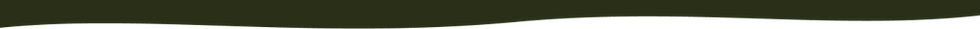 Vector (6).png