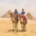 Camels.jpg