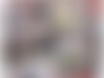 PRESIDENTA CLAUDIA SHEINBAUM