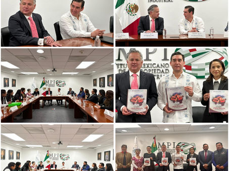 Saderh entrega expediente técnico para la protección del “Chile Rayado de La Misión, Hidalgo”