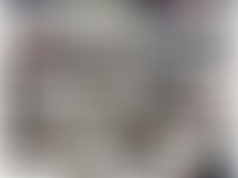 Integrantes de la LXVI Legislatura