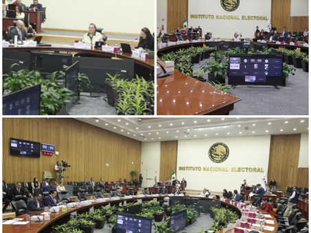 Aprueba INE planes anuales de trabajo de las actividades que realizará en 2025