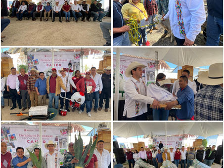 Saderh refuerza la apicultura y entrega sementales ovinos para el desarrollo integral del campo