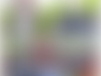 Seguridad y trato digno, principales demandas de la población de Progreso: Auria Pérez