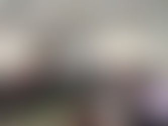 LA JUNTA LOCAL EJECUTIVA DEL INSTITUTO ESTATAL ELECTORAL DEL ESTADO DE HIDALGO