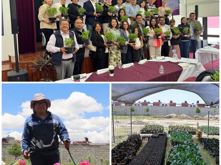 EN MINERAL DE LA REFORMA SE ATIENDE LA MITIGACIÓN Y EL CAMBIO CLIMÁTICO