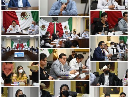 LA COMISIÓN PARA EL DESARROLLO INTEGRAL DE PUEBLOS INDÍGENAS DE LA LXV LEGISLATURA DE HIDALGO