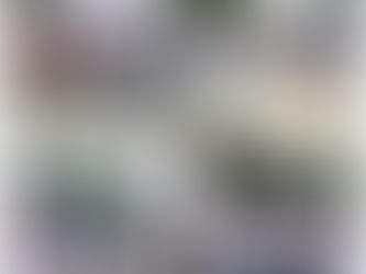 NO TENGO DERECHO A FALLARLES: CYNTHIA DELGADO