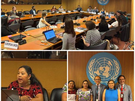 Representa docente de la UAEH a pueblos indígenas ante la ONU