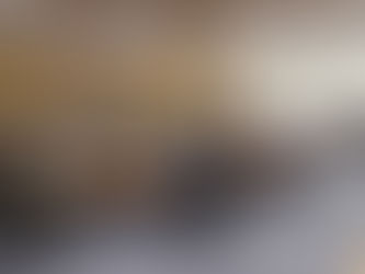 Aprueba INE bases y criterios para que visitantes extranjeros
observen el desarrollo.