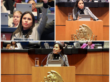 SENADO AVALA LEYES SECUNDARIAS PARA REGULAR ELECCIÓN DEL PODER JUDICIAL