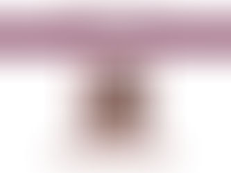 Vinculan a proceso a exregidora de Tizayuca por extorsión agravada