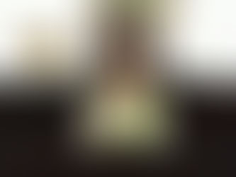 PAN propone cultura de Protección Civil en planes de estudio de Hidalgo