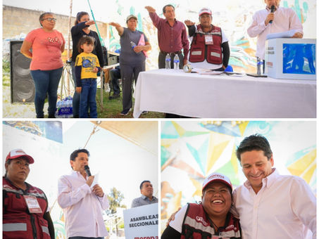 *Morena avanza en la organización territorial: Cuauhtémoc Ochoa*
