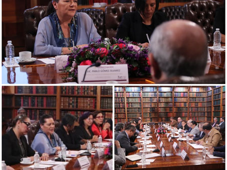 Acuerdan INE y Comisión Presidencial para la Reforma Electoral trabajo conjunto