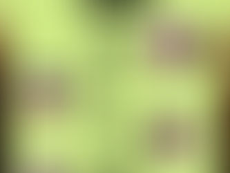 Recintos administrados por la OEEH albergarán grandes espectáculos durante febrero