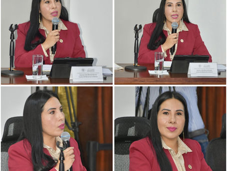 Hilda Miranda propone fortalecer la movilidad