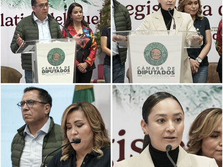 LEGISLADORES FEDERALES DE HIDALGO EXPONEN PROYECTO DE PARQUE ECOLÓGICO Y DE RECICLAJE