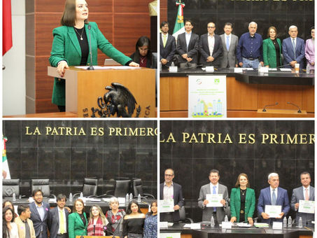 Infraestructura verde, una realidad y el comienzo de nuevas oportunidades de
desarrollo