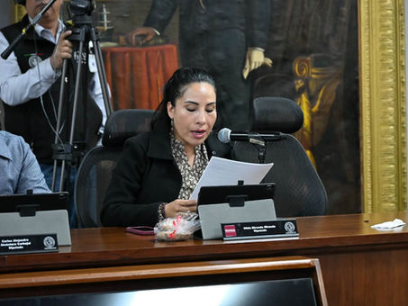 *Dip Local Morenista Hilda Miranda*
