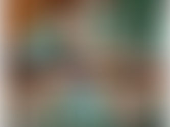 El Partido Verde en Hidalgo inicia su camino rumbo
al 2027