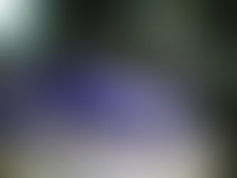 Reportan incendio de vehículo en Atotonilco de Tula