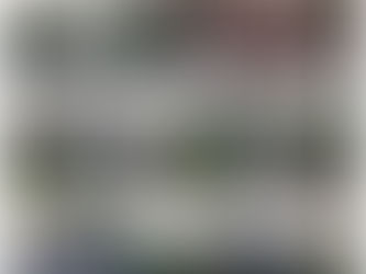 monitoreo zonas de posibles encharcamientos