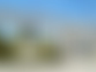 Aprehende PGJEH a una persona por delito contra los animales, ocurrido en Atotonilco de Tula