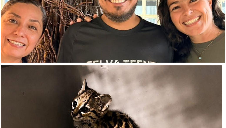 La Unidad de Rehabilitación de Fauna Silvestre de Pachuca