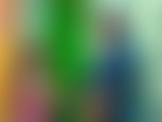 Seguridad Pública, Tránsito y Vialidad del Municipio de Pachuca