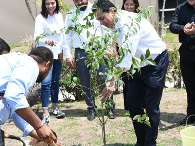 CONGRESO DEL ESTADO DE HIDALGO INICIA CAMPAÑA "SEMBREMOS UN ÁRBOL"