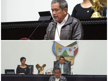 Propone Caballero Zerón se considere prioritario y de seguridad nacional
