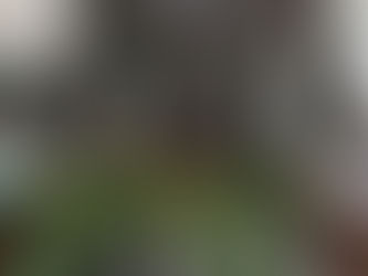 IEEH concluye Sesión Especial de Seguimiento al Cómputo de Cuautepec 2024