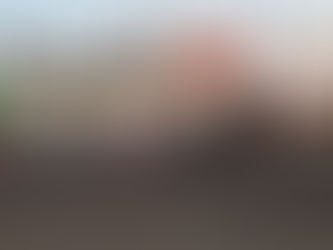 Una mujer perdió la vida tras caer de una camioneta recolectora de basura