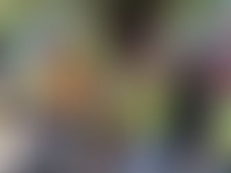 Se debe poner orden en el tema de la recaudación en Pachuca: Jorge Reyes