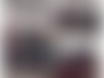 En la Zona Milita destruyen Armamento y Diferentes Cartuchos