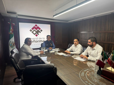 IMPLEMENTA MINERAL DE LA REFORMA ACCIONES PARA AMPLIAR EL SERVICIO ELÉCTRICO