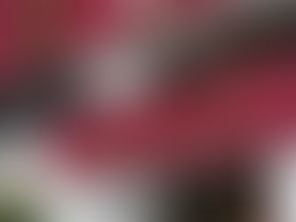 MINERAL DE LA REFORMA LOGRA CALIFICACIÓN PERFECTA EN ARMONIZACIÓN CONTABLE