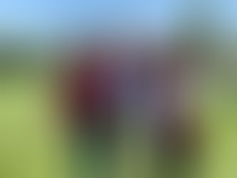 “TERRIBLE” EL PROBLEMA DE LA SALUD EN TULA, DICE “EL PUMA”